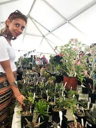 Cactus and succulent society of america president laurel woodley explained that each judge is given two big… Haul Of Wonders Behold The Plants We Brought Home From A Month Of Cactus Succulent Shows The Horticult