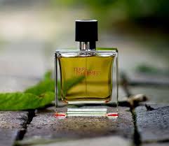 Hermes Terre D Hermes Pour Homme Eau De Parfum Hermes Terre D Hermes Eau De Toilette Natural Spray Nordstrom Perfume And Cologne Best Perfume For Men Perfume