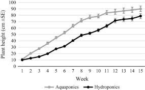 Growth Yield Plant Quality And Nutrition Of Basil Ocimum Basilicum L Under Soilless Agricultural Systems Sciencedirect