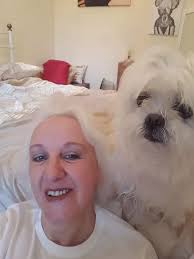 16 dogs that look just like their owners