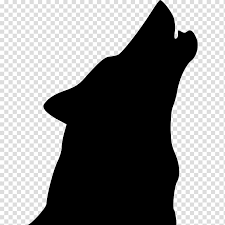 Coyote Gray Wolf Free Content Silhouette Wolf Head Silhouette Transparent Background Png Clipart Hiclipart 607x699 png silhouette woman head transparent silhouette woman head.png. coyote gray wolf free content