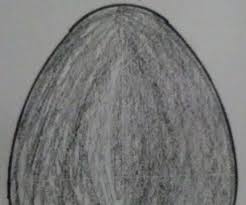Do shading to make the drawing brighter. Drawing An Egg With A Compass 8 Steps Instructables