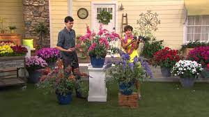 Roberta S 6 Pc More Flower Power Butterfly Bushes With Dan Hughes Youtube
