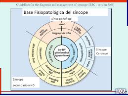 De wikipedia, la enciclopedia libre. Sincope Generalidades Diagnosticos Diferenciales Tratamiento Ppt Descargar