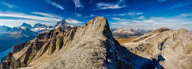 Image result for Kedrostis abdallai