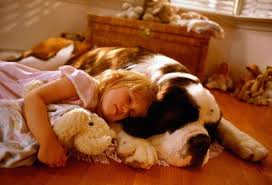 The Best Dog Breed For Your Health And Personality Dog Breeds Best Dog Breeds Best Dogs