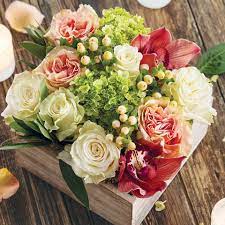 We did not find results for: Hannah Olive Cocoa