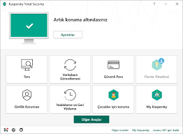 Kaspersky Total Security Ekran Goruntusu Gezginler
