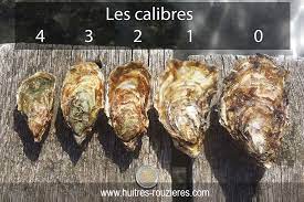 Combien de calories pour perdre 1 kilo ou prendre 1 kilo ? Les Differents Calibres D Huitres Huitres Rouzieres Bouzigues
