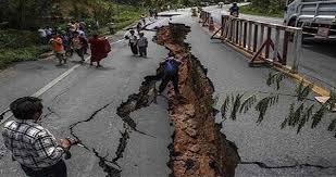 Seismic risk reduction mainly depends on earthquakes hazard assessment based on seismic instrumental data. Could The Nepal Earthquake Have Been Predicted By Using Big Data
