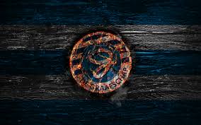 Sc telstar netherlands sbv vitesse afc ajax eredivisie, football, logo, association png. Herunterladen Hintergrundbild Graafschap Fc Feuer Logo Eredivisie Blauen Und Weissen Linien Die Niederlandische Fussball Club Grunge Fussball Logo Bv De Graafschap Holz Textur Holland Niederlande Mit Einer Auflosung Zu Uberwachen 2880x1800
