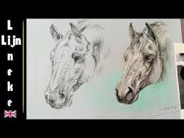 How To Draw A Horsehead Portrait Horse Anatomy Study Youtube Drawings Horse Sketch Horse Drawings