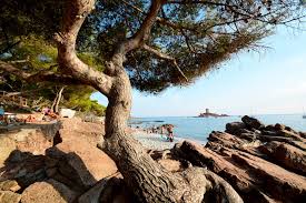 Maybe you would like to learn more about one of these? Photo Gallery Of La Plage Du Dramont Campsite