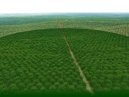 Faktor penting yang mempengaruhi guna tanah kediaman adalah seperti berikut kawasan pertanian dan kawasan perindustrian juga mempunyai jaringan jalan raya dan jalan kereta api yang lebih padat dan. Agricoputra Com