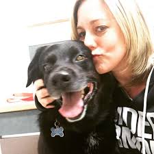 Meniscus tear vs ACL tear in dogs, Maryland surgeons recommendations