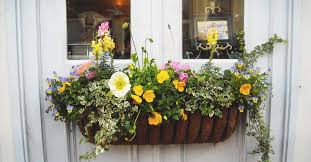 In addition, window boxes give avid gardeners additional space to plant some of their favorite flowers and plants. 8 Tips To Make Your Window Box Flourish And 11 Ideas To Inspire You