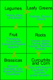 Crop Rotation