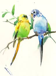 Pin On Watercolor Birds