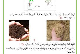 حاجة النبات الى الماء و الأملاح المعدنية موقع مدرستي