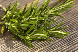 Image result for Berkheya setifera