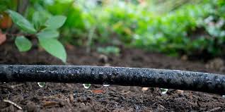 This diy water irrigation system follows the same basic plan as others and it is really easy to assemble. How To Install A Drip Irrigation System In Your Garden Soaker Hose Tips