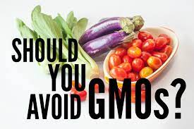 The Easy-To-Understand Gmo Guide | Yuri Elkaim
