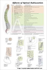 Chiropractic Charts And Posters