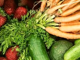 Les Normes Applicables Aux Semences Aux Tracteurs Au Materiel Forestier Et Aux Fruits Et Legumes Ocde