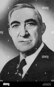 Forrest Black and White Stock Photos & Images