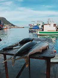 Hout bay holiday rentals flights to hout bay hout bay restaurants hout bay attractions hout bay shopping. Hd Wallpaper South Africa Cape Town Hout Bay Harbour Sea Market Fish Wallpaper Flare