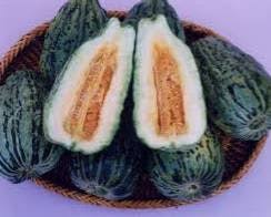 Image result for Macrothelypteris rammelooi