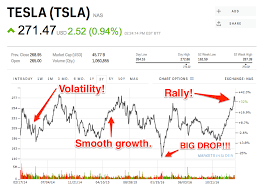 Heres Why Tesla Is The Riskiest Stock In History Business