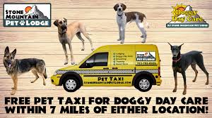 Welcome to old stone pet lodge! Stone Mountain Pet Lodge Home Facebook