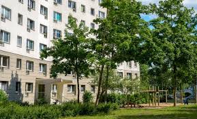 Die wohnung ist stufenfrei und das haus hat einen fahrstuhl. Wohnung Mieten Neubrandenburg Feinewohnung De