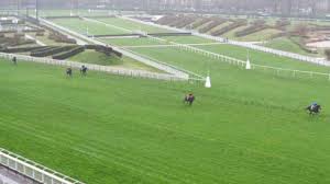 45 réunions sur 50 sont gratuites pour tous. 3 1 20 Auteuil Prix Karcimont Results And Reports