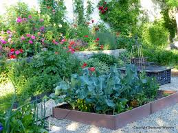 Pin Van Teresa O Connor Op Gardens Planten Tuin Inspiratie Terras