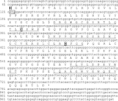 We did not find results for: Human Pix Mrna Sequence And Its Translation Product Shown Is The Download Scientific Diagram