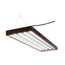 Best budget t5 led grow bulb: T5 Designer Grow Light System 4ft 4 Tube Bulbs Included