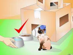 Maybe you would like to learn more about one of these? Cara Membangun Rumah Kucing 15 Langkah Dengan Gambar Wikihow