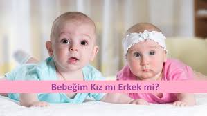 Bebeğin cinsiyeti kaçıncı haftada belli olur diye bir heyecan içindeyseniz sizler için uzman görüşlerinden faydalandık ve ortalama haftalarını bu. Hamilelikte Bilimsel Olarak Kiz Veya Erkek Bebek Belirtileri Nasil Aciklanir Pembe Saglik