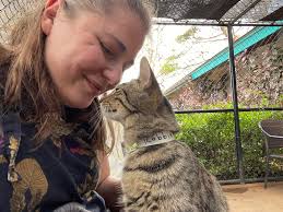 MSC Cruise Experience