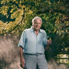 Sir david frederick attenborough (/ˈætənbərə/; Sir David Attenborough Joins Instagram And Already Has 1 4m Followers Manchester Evening News