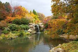 Fall Is Here And Red Butte Garden Is A Beautiful Place To See The Changing Leaves In Utah Places To See Beautiful Places Water Pavilion