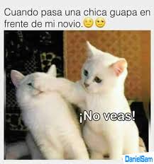 Mi Novia Memes Divertidos Memes Para Mi Novio Meme Gracioso