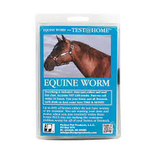 Given a sentence, task is to remove spaces from the sentence and rewrite in camel case. Equine Worm Test For Horses And Livestock Pbs Animal Health