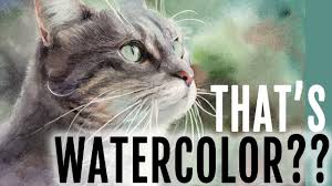 Opencv rectangle drawing tutorial by example in c++. How To Paint A Realistic Cat With Watercolor Step By Step Tutorial Youtube