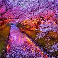 Where Do We Go Today Wheredowegotoday Instagram Fotograflari Ve Videolari Beautiful Landscapes Beautiful Nature Beautiful Places