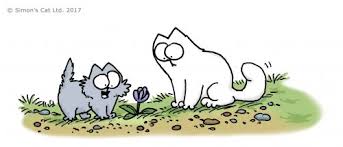 Unfortunately, so might the rest of the cats in the. Cat Friendly Plants For Your Garden