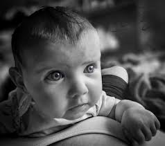 Laura Perez Photography