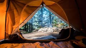 From the dramatically scenic cape perpetua to lincoln city, there's beachside state. 28 Cool Oregon Coast Campgrounds Glamp Sites To Stay At